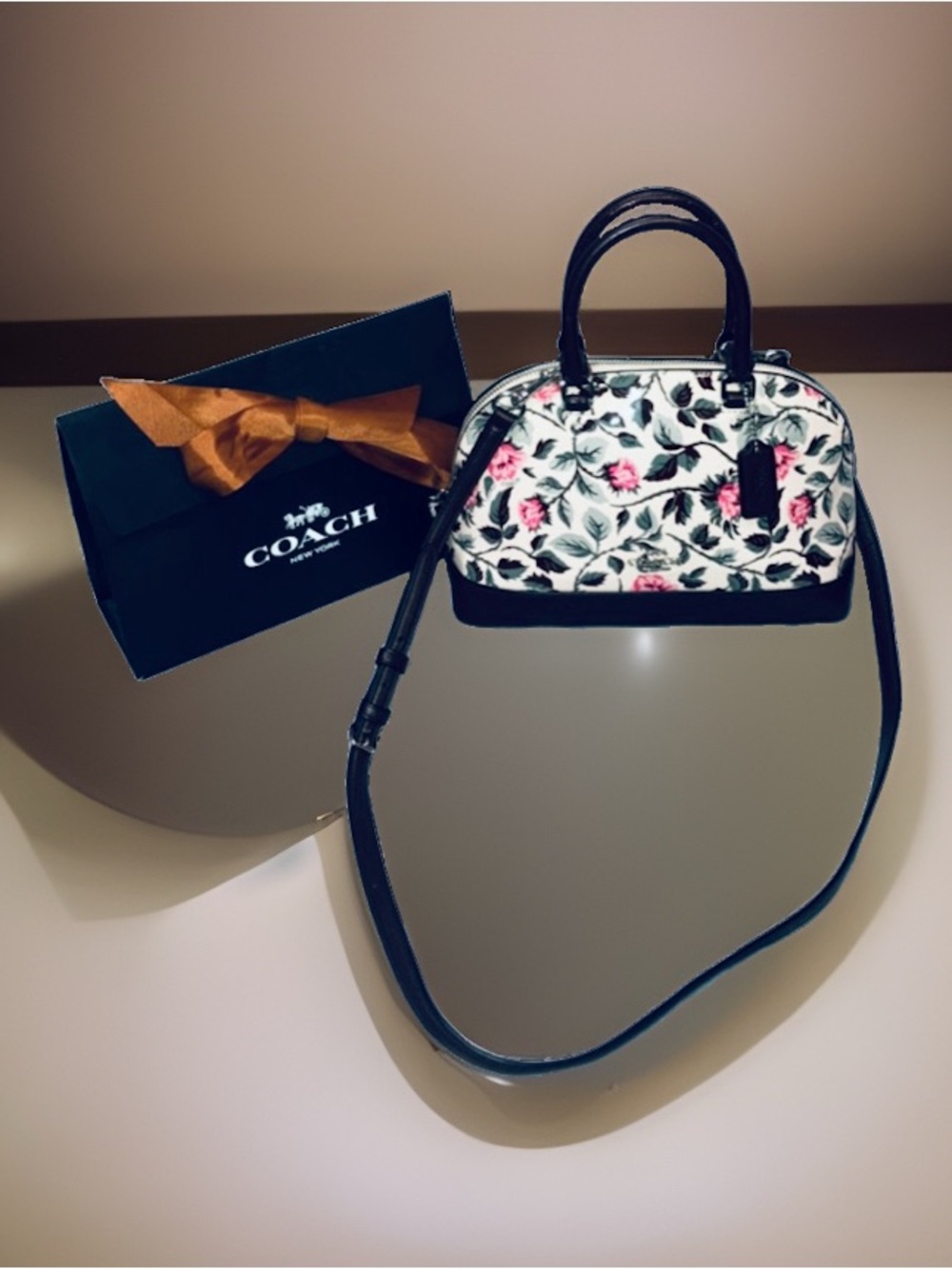 Coach Sleeping Roses Print Sierra Floral Mini Satchel